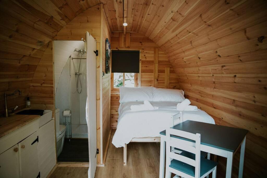 Pine Cosy Winter Cabin - Hot Tub & Log Burner Apartment Barmouth Exterior foto