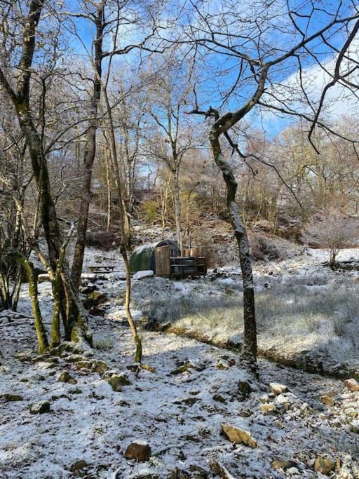 Pine Cosy Winter Cabin - Hot Tub & Log Burner Apartment Barmouth Exterior foto